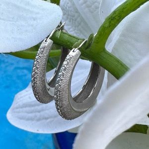 Sterling Silver and Cubic Zirconia Hoop Earrings